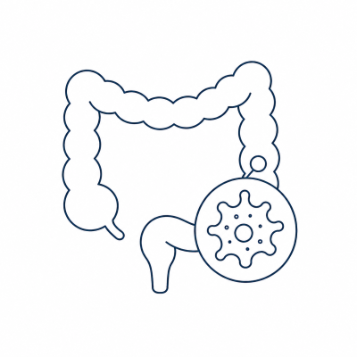 Verleihung Professuren