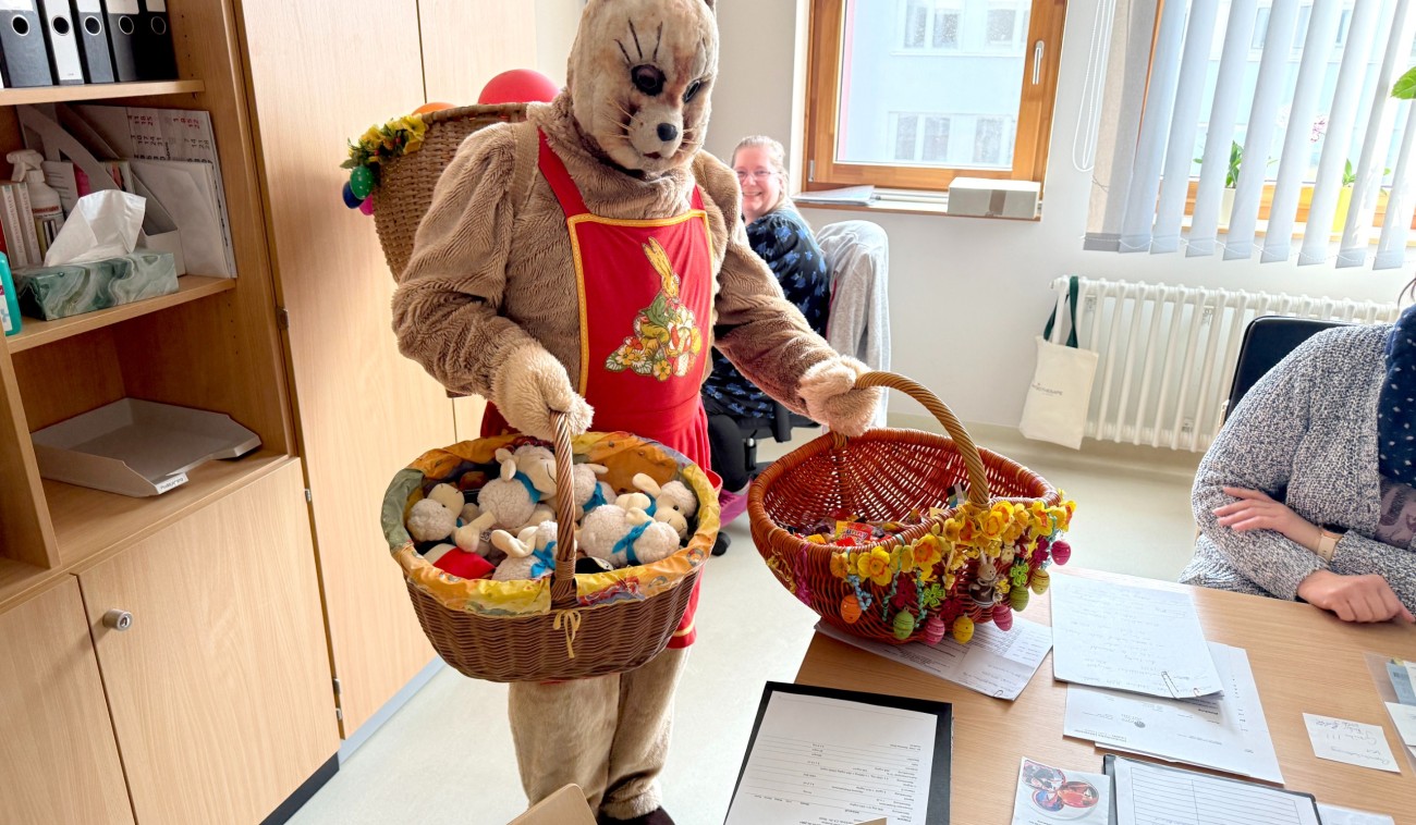 Osterhase2026 1