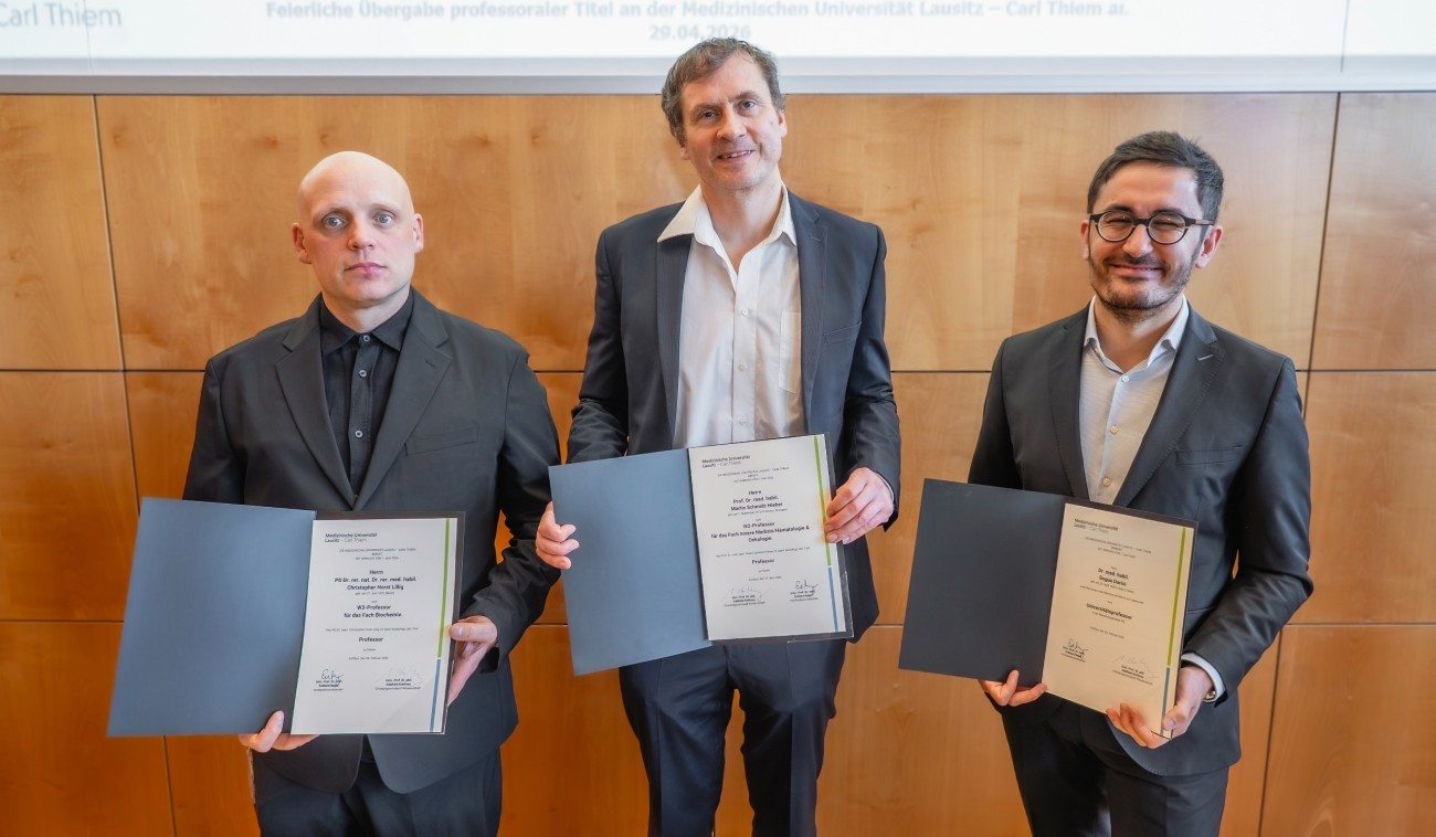 Verleihung Professuren 5