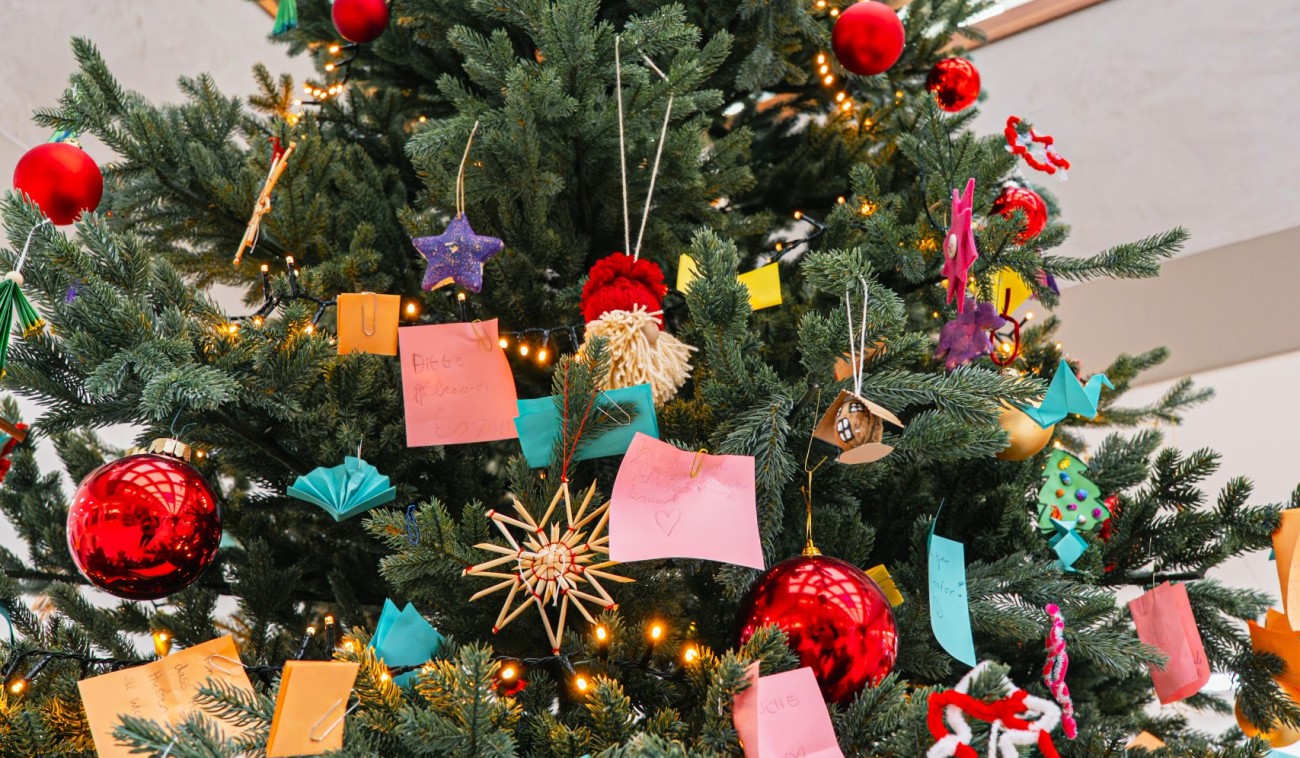 Weihnachtsbaum 2025 Foto 6