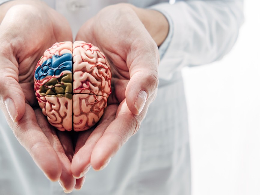 Weltschlaganfalltag