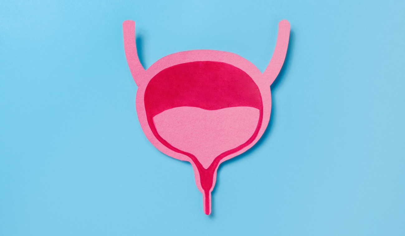 pink bladder illustration on blue background 2026 03 18 13 50 03 utc