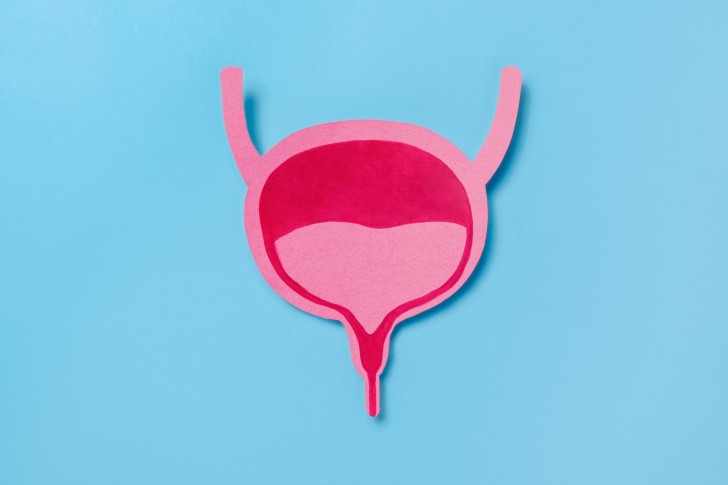 pink bladder illustration on blue background 2026 03 18 13 50 03 utc