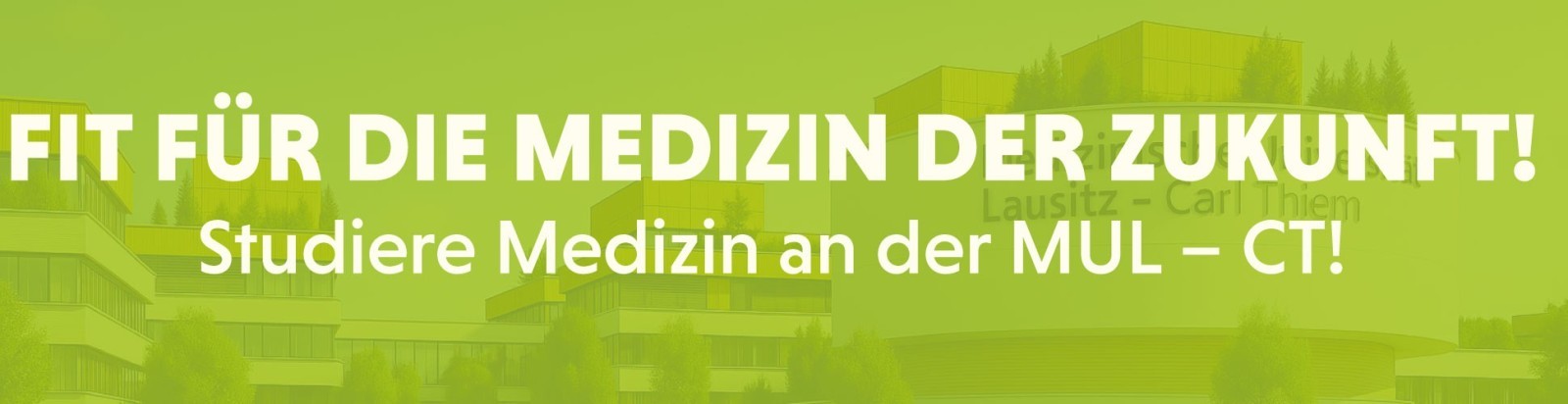 website banner 970x250px v2