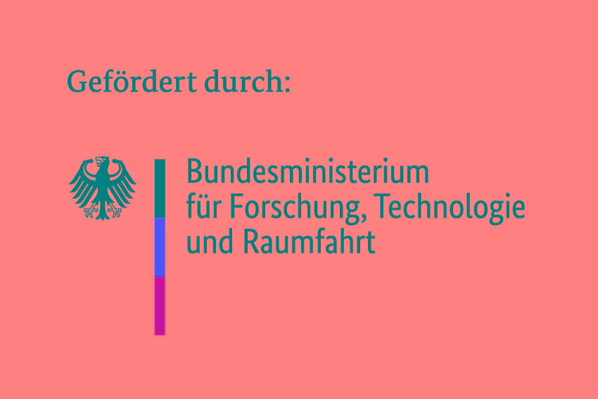 BMFTR internet in farbe de