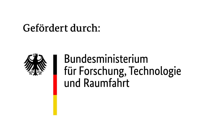 BMFTR internet in farbe de